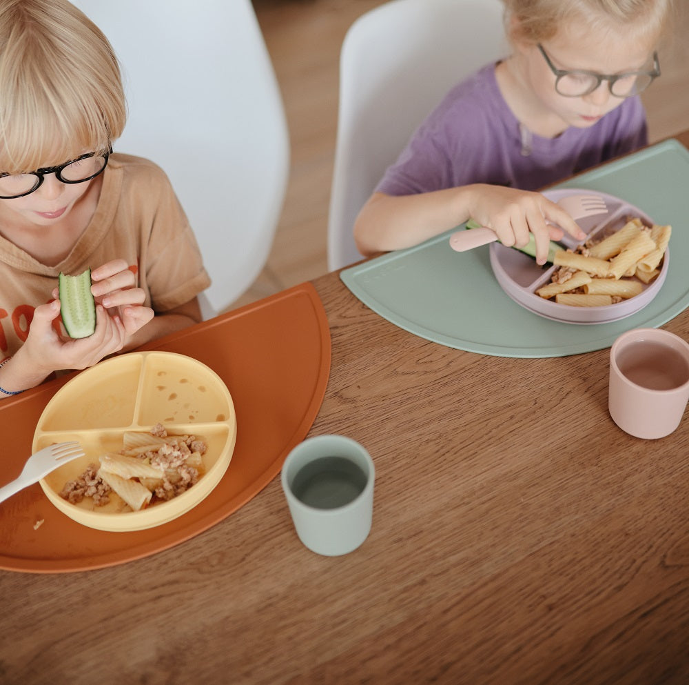 Silicone "Stay-Put" Suction Bowl
