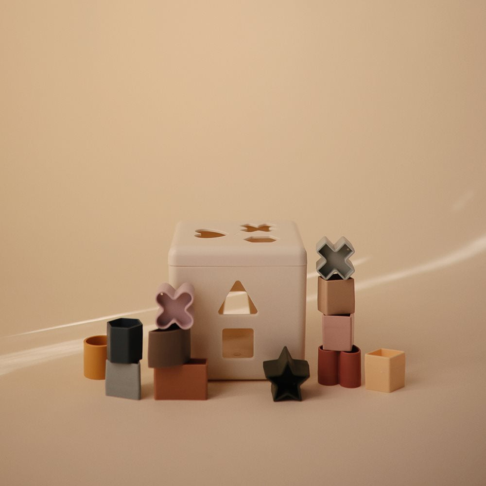 Shape Sorting Box