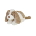 Dog David No.1