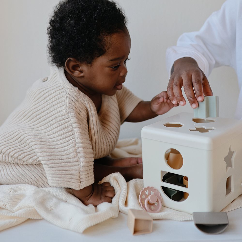 Shape Sorting Box