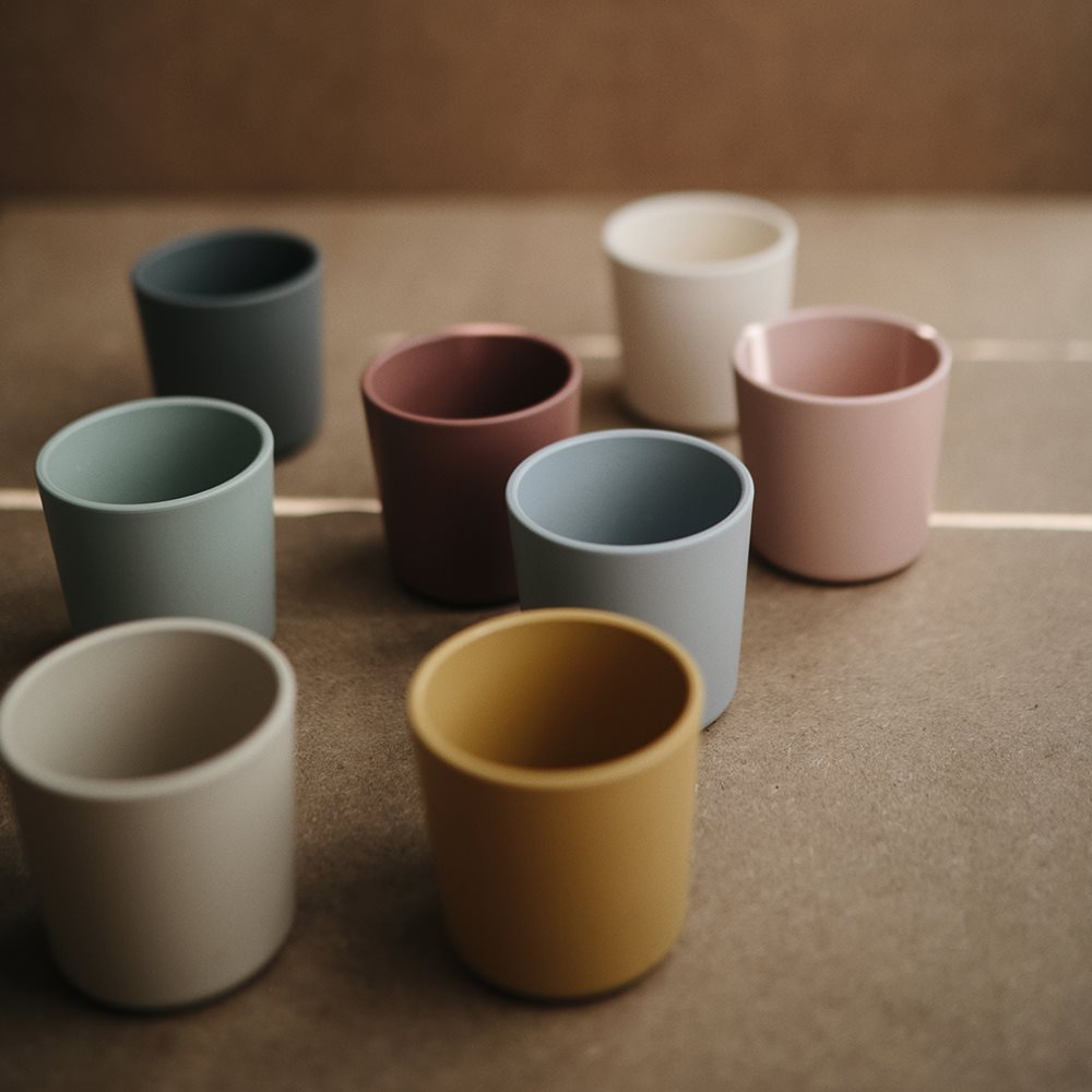 Dinnerware Cup (2 Pack)