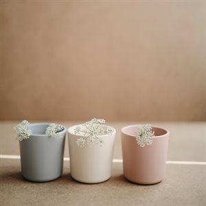 Dinnerware Cup (2 Pack)