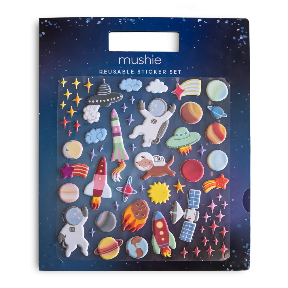 Reusable Sticker Kit